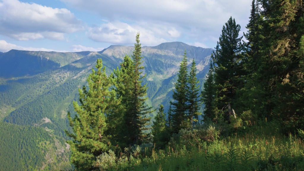 Еще мероприятие